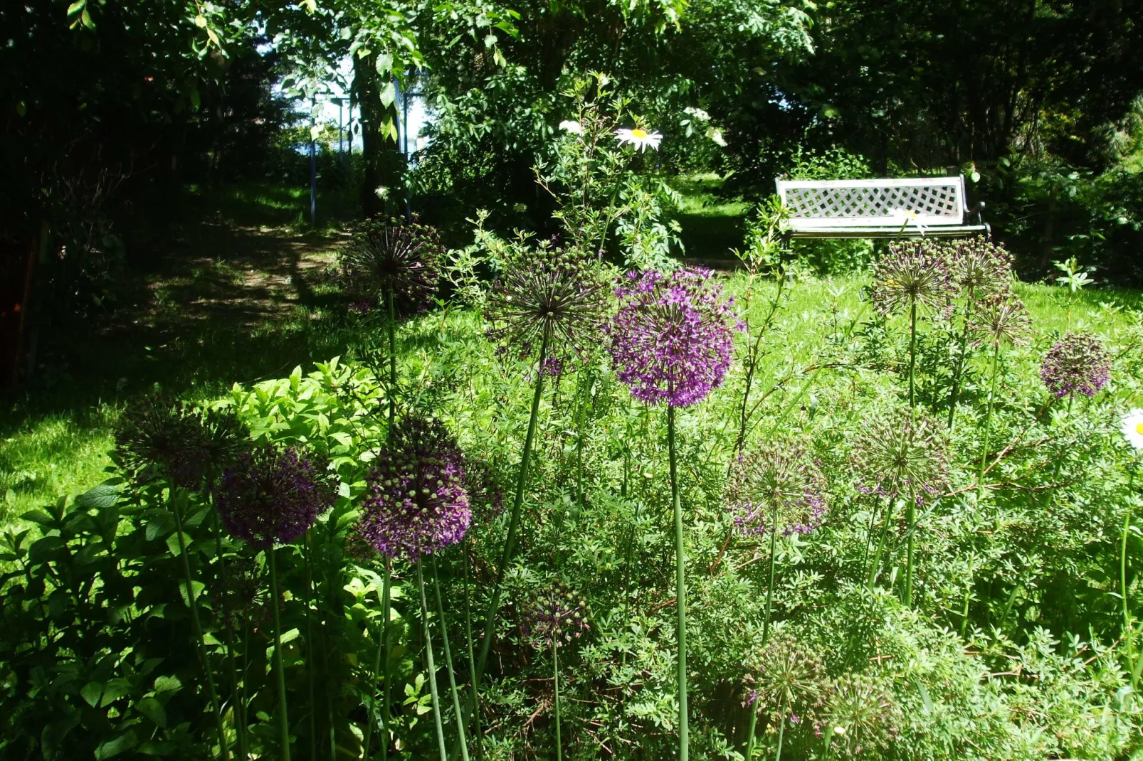 Gîte d'Artisan-Gardens summer