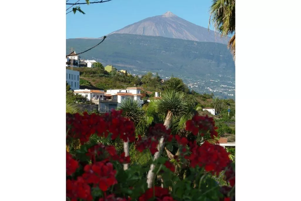 57807-View