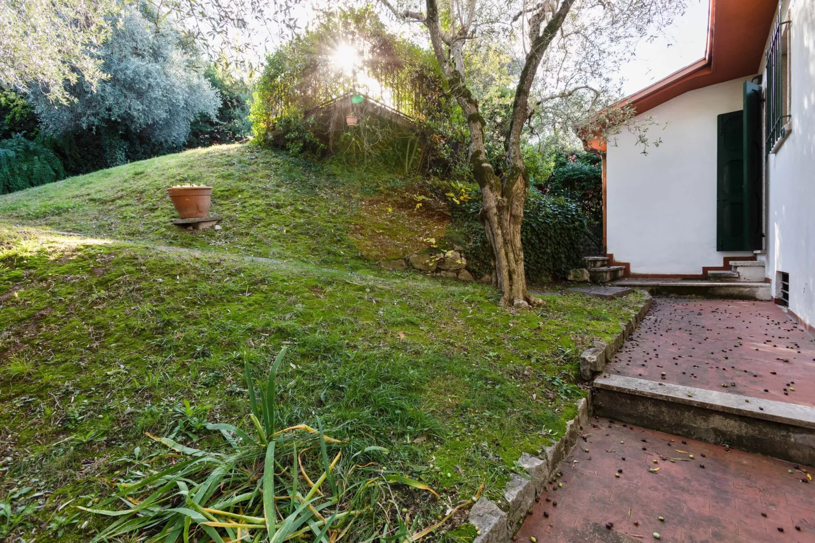 Villa Barono-Gardens summer