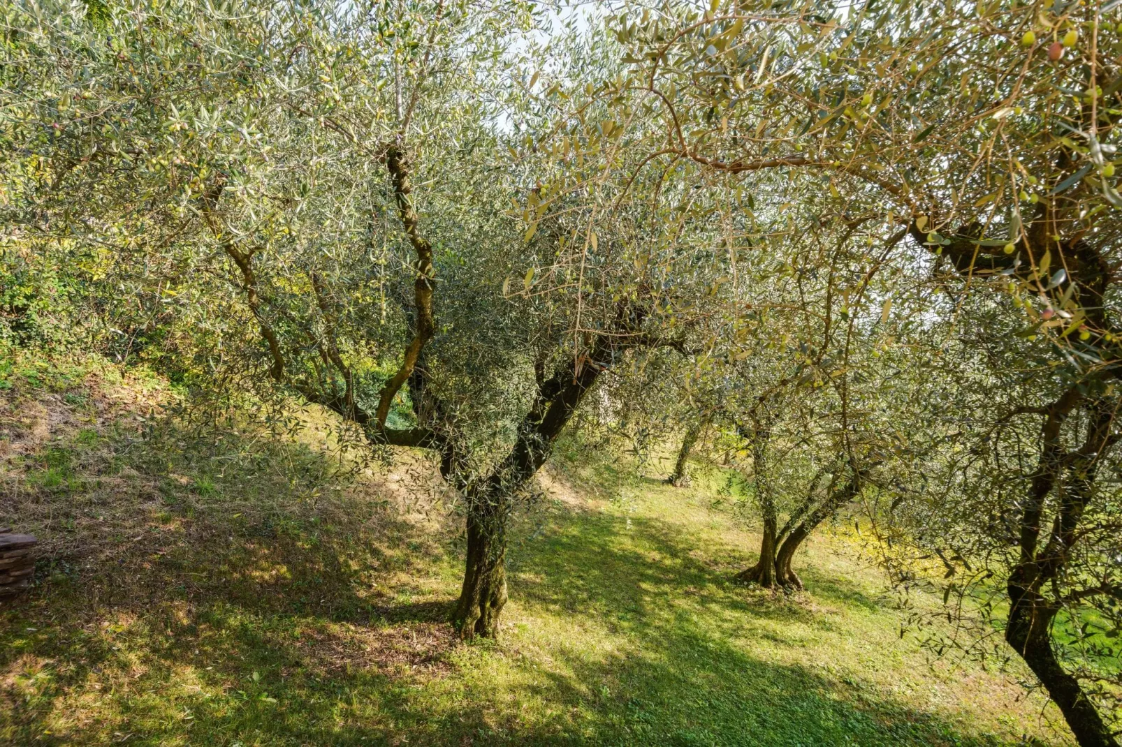 Villa Pozzol-View summer