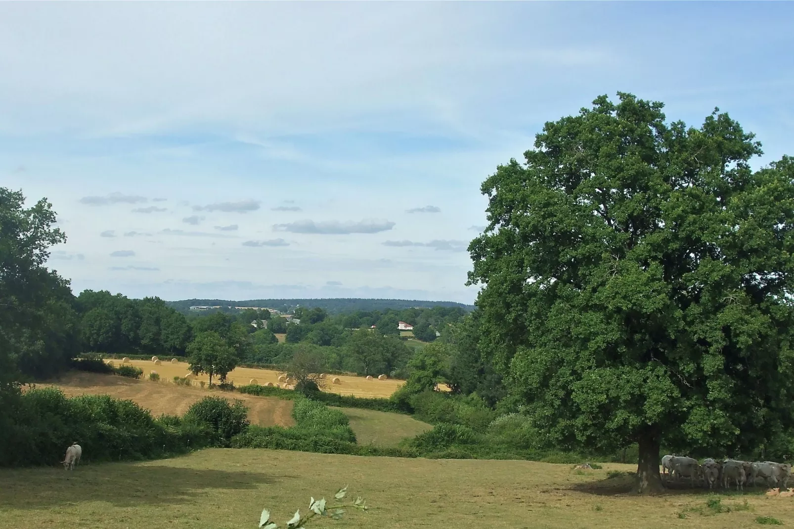 Gîte d'Artisan-Areas summer 5km