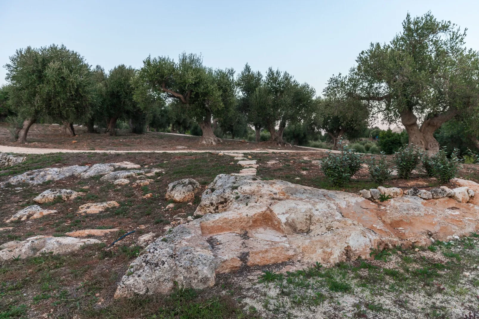 Luxury Trullo Termetrio in Cisternino-Gardens summer