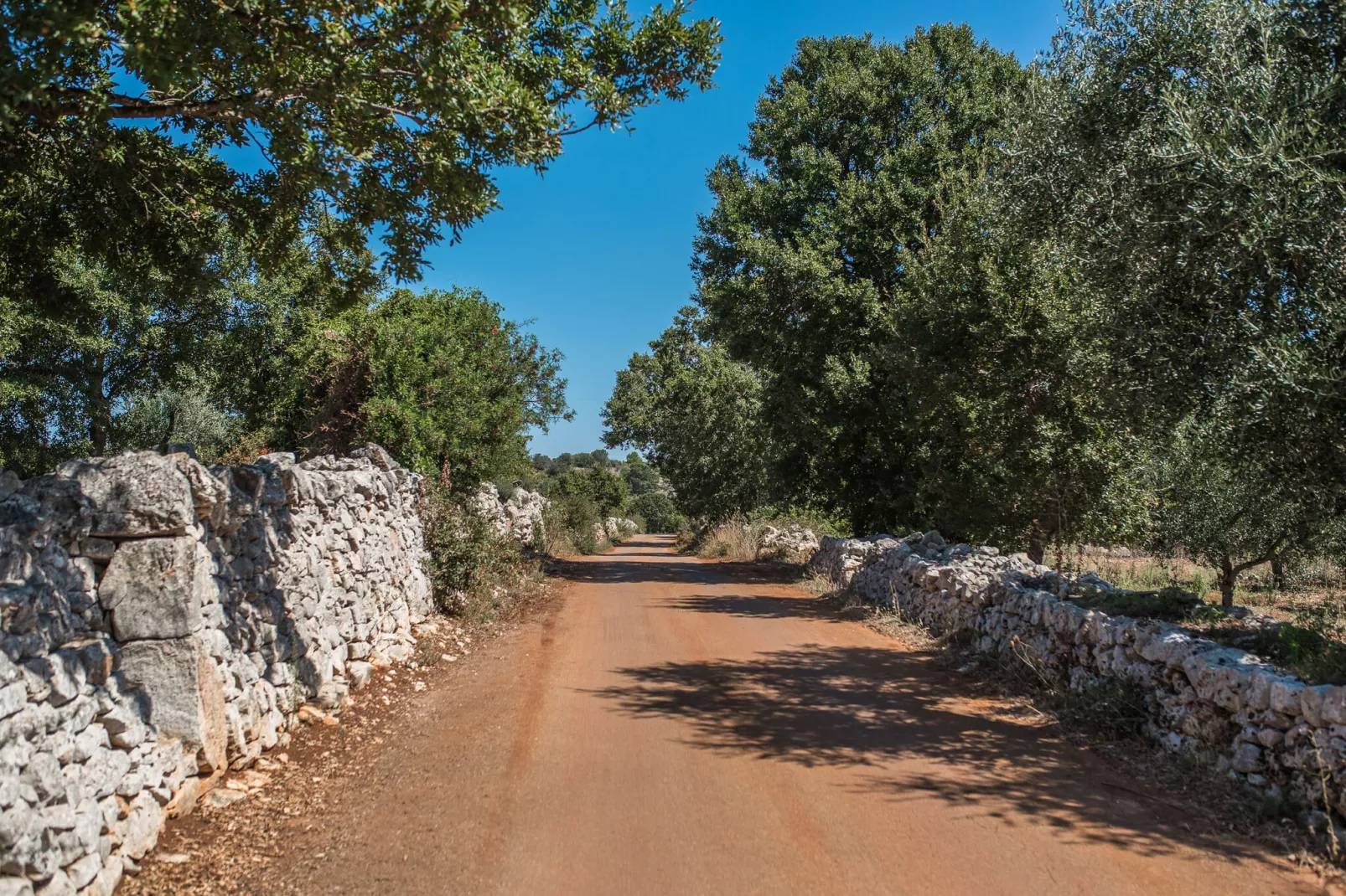 Luxury Trullo Termetrio in Cisternino-Gardens summer