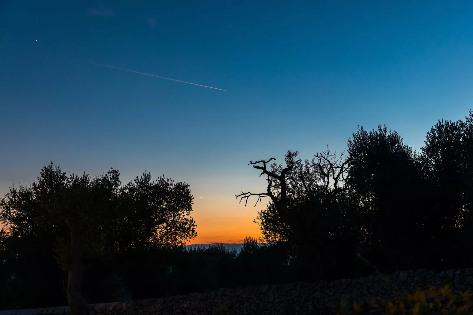 Luxury Trullo Termetrio in Cisternino-View summer