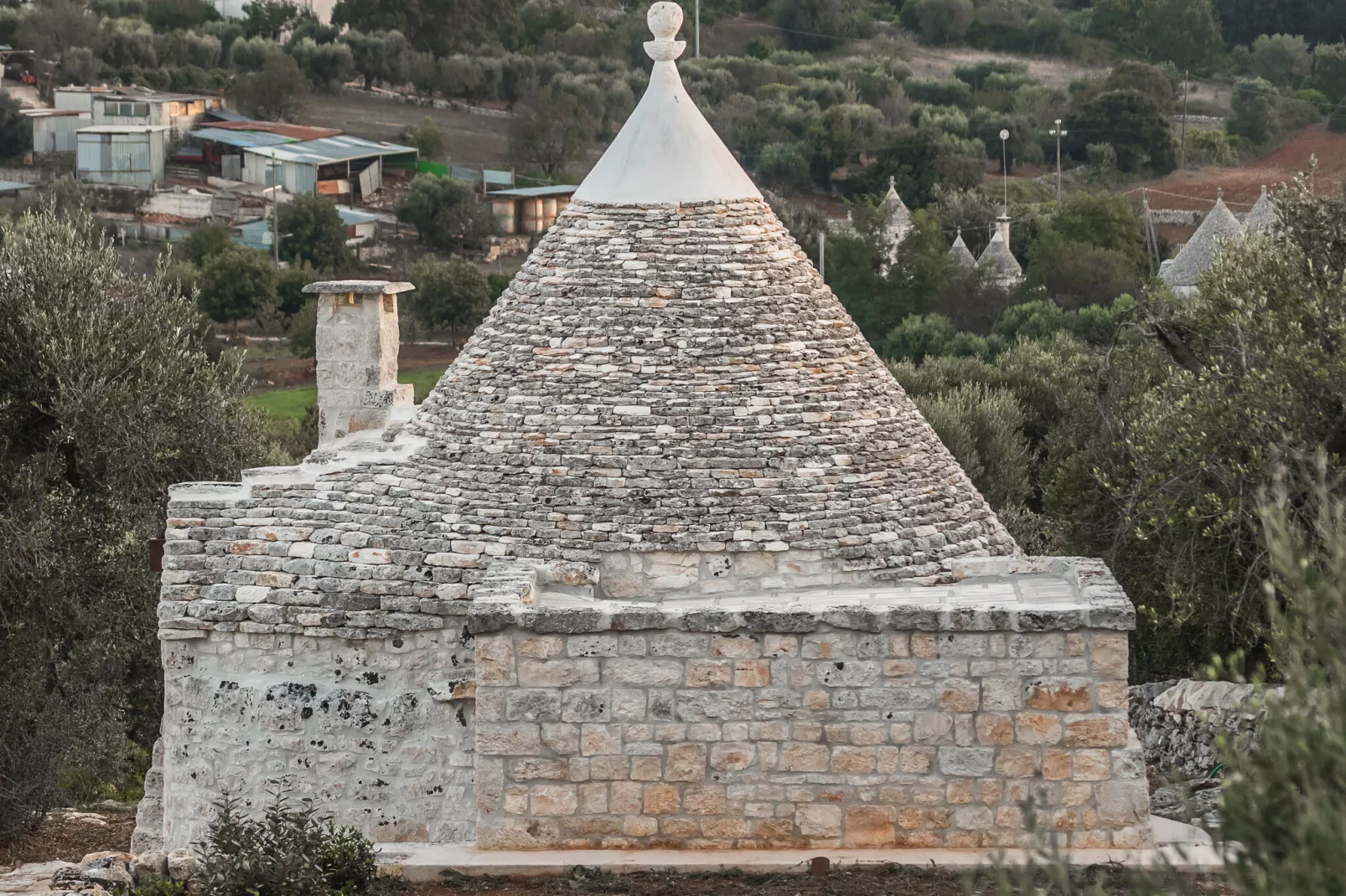 Luxury Trullo Termetrio in Cisternino-Exterior summer