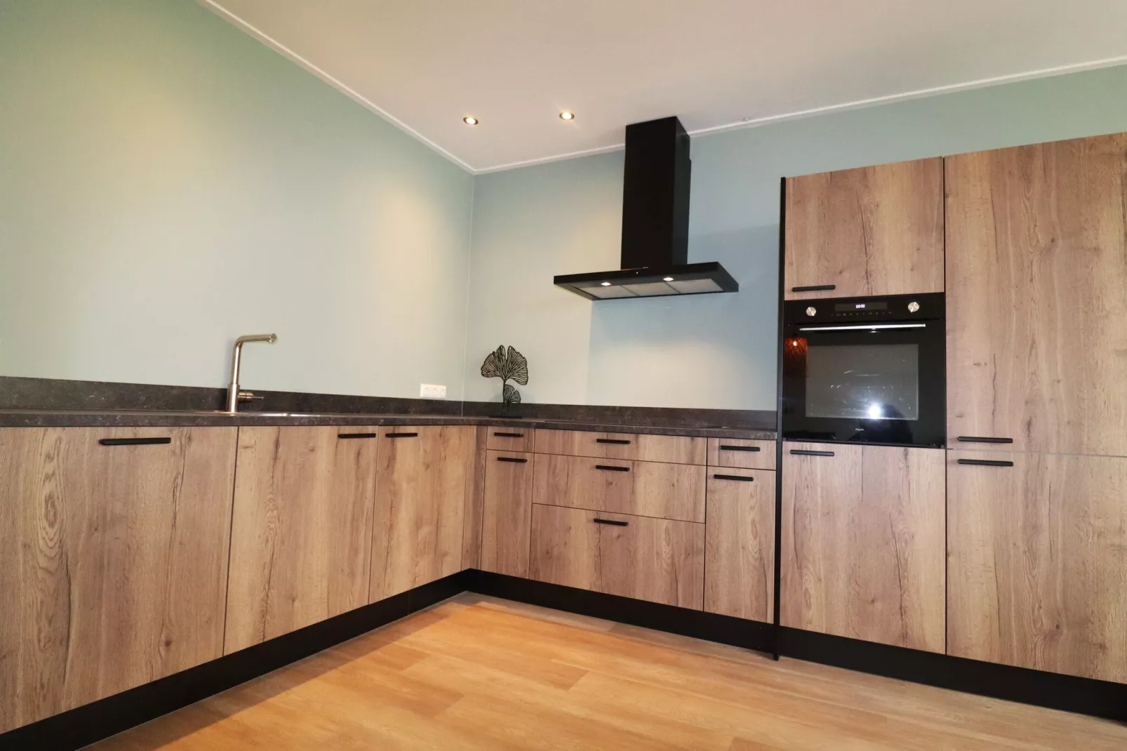 Friese villa 9 in Leons-Kitchen
