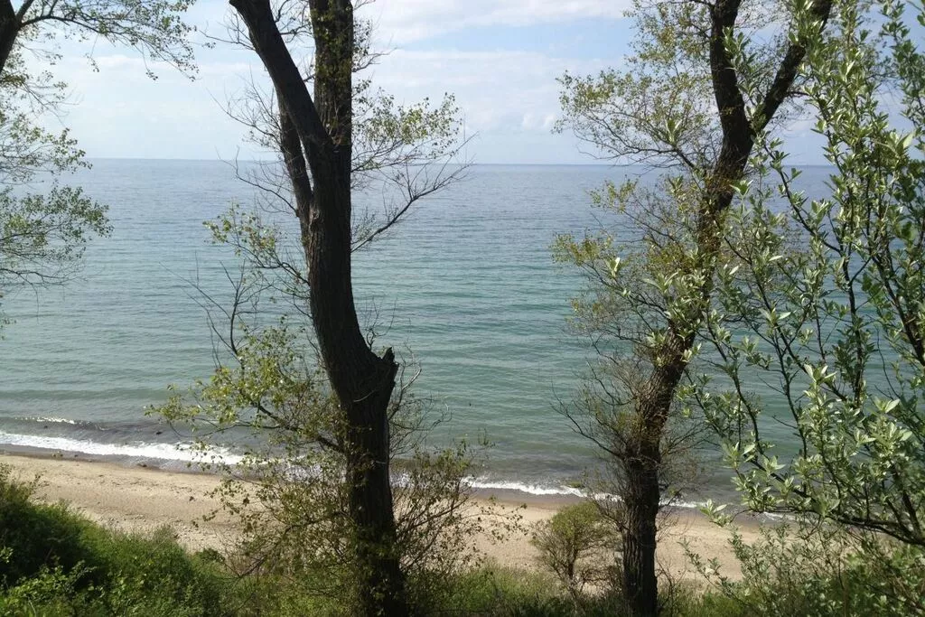 176394-View