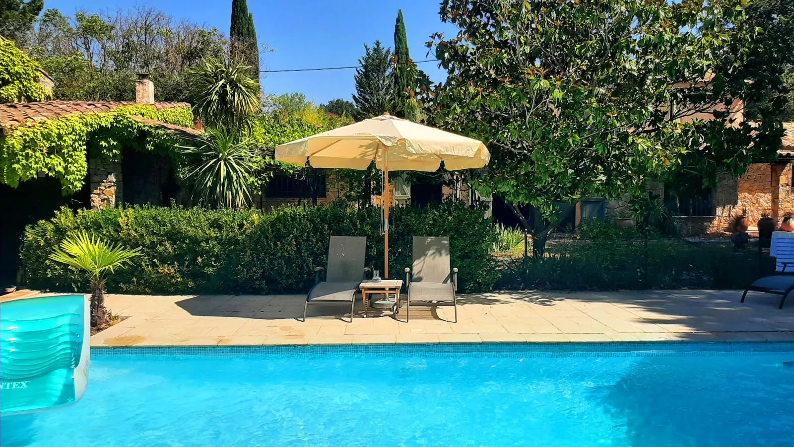 Butterfly-Pool