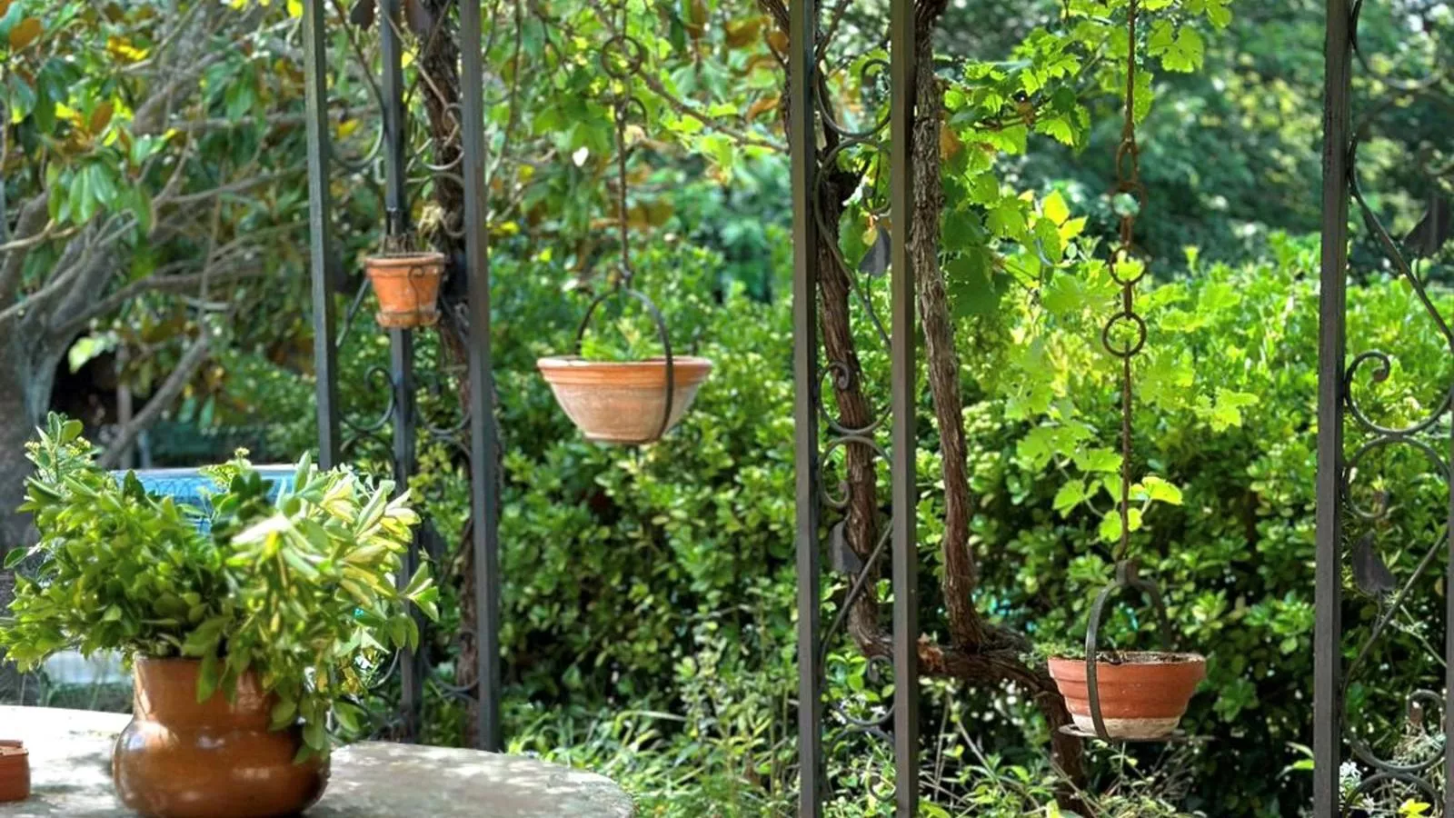 Butterfly-Gardens summer