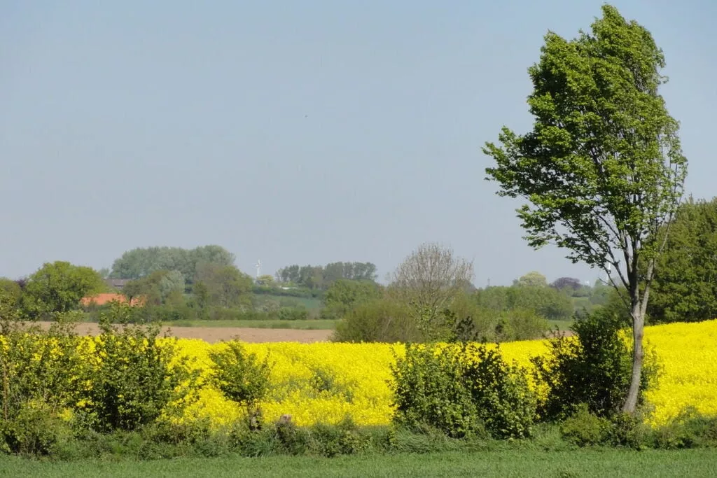 165873-View