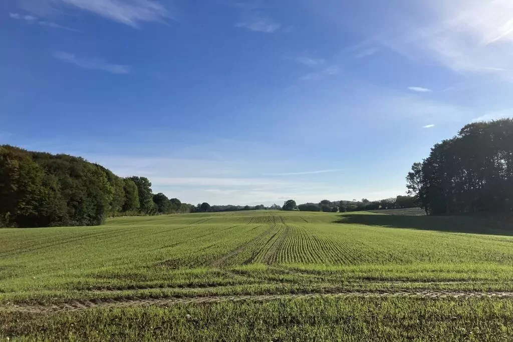 165873-View