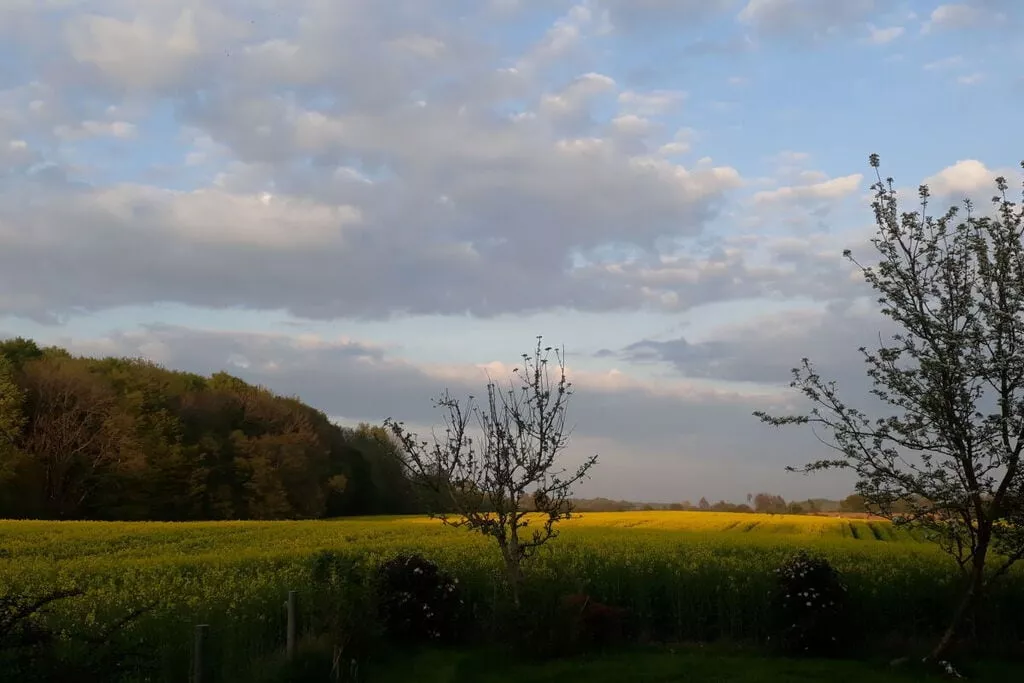 165873-View