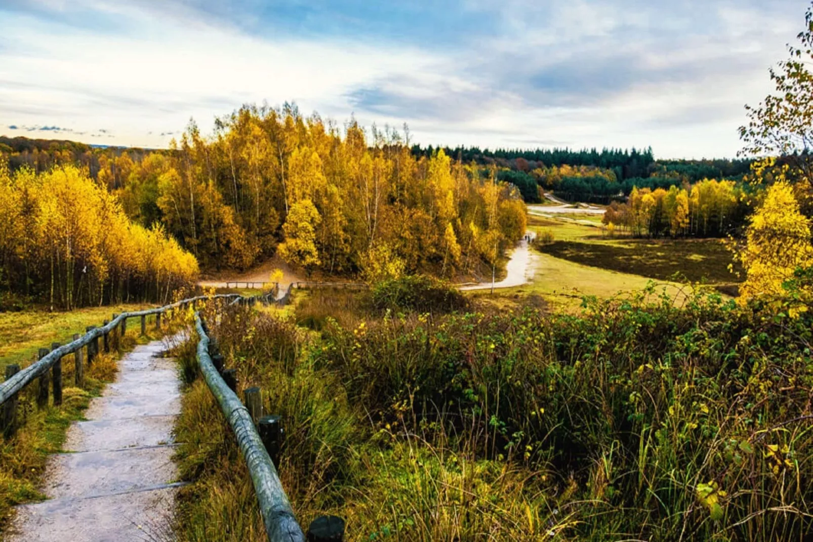 Vakantiepark De Thijmse Berg 17-Areas summer 5km