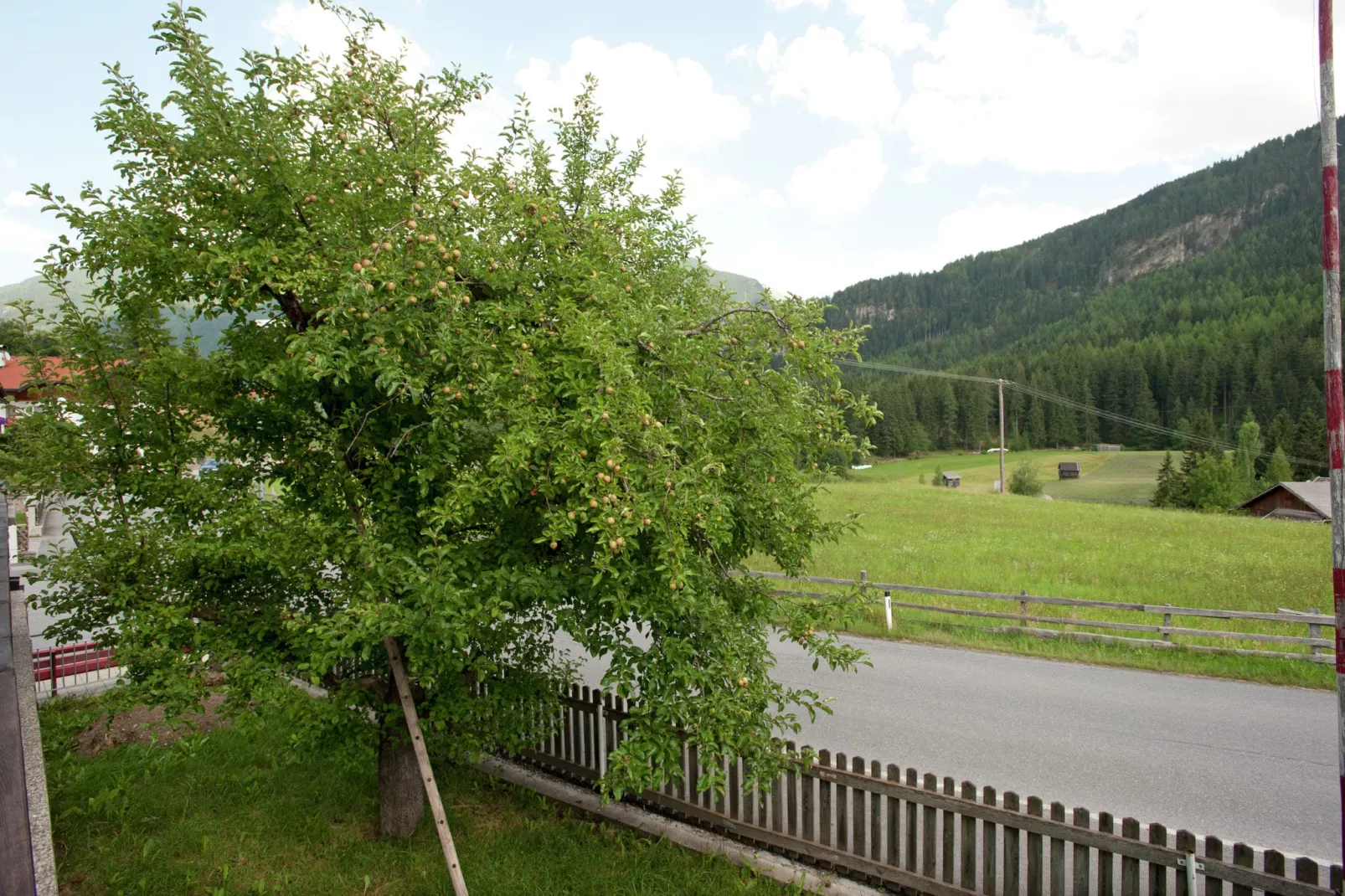 Haus Alpenblick-Gardens summer