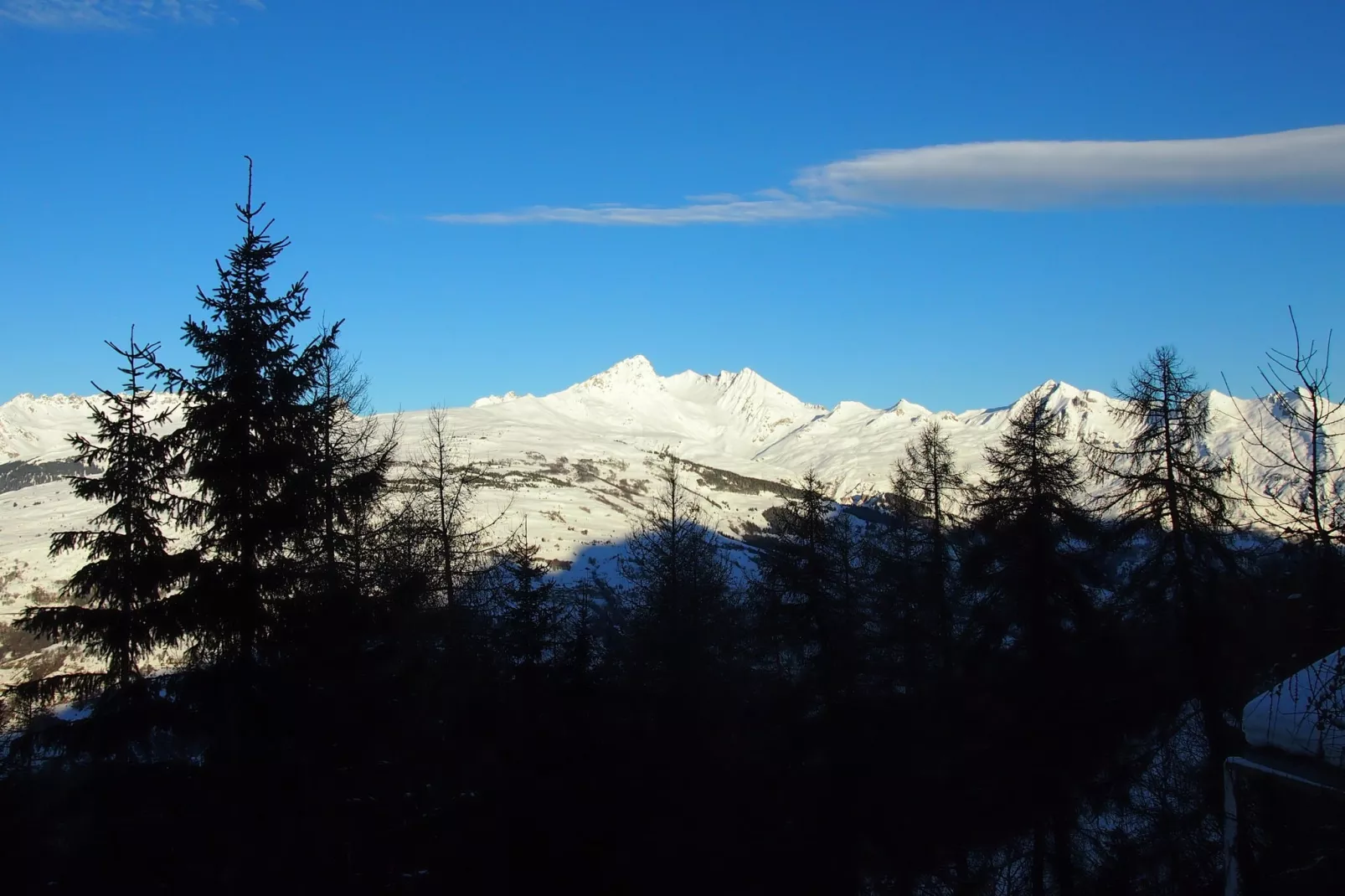 Le Sabot de Vénus-View winter