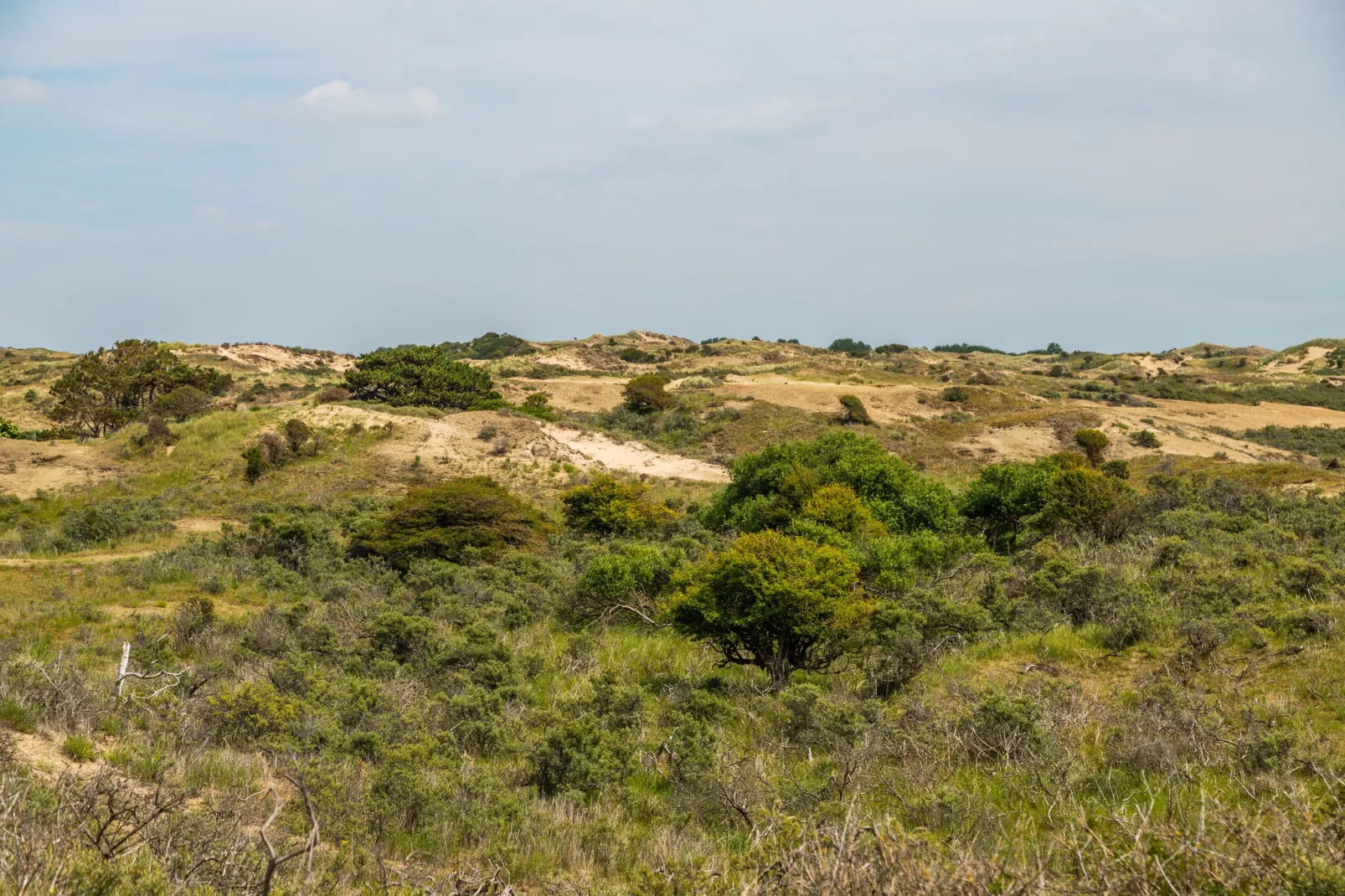Deluxe 4 personen-Areas summer 5km