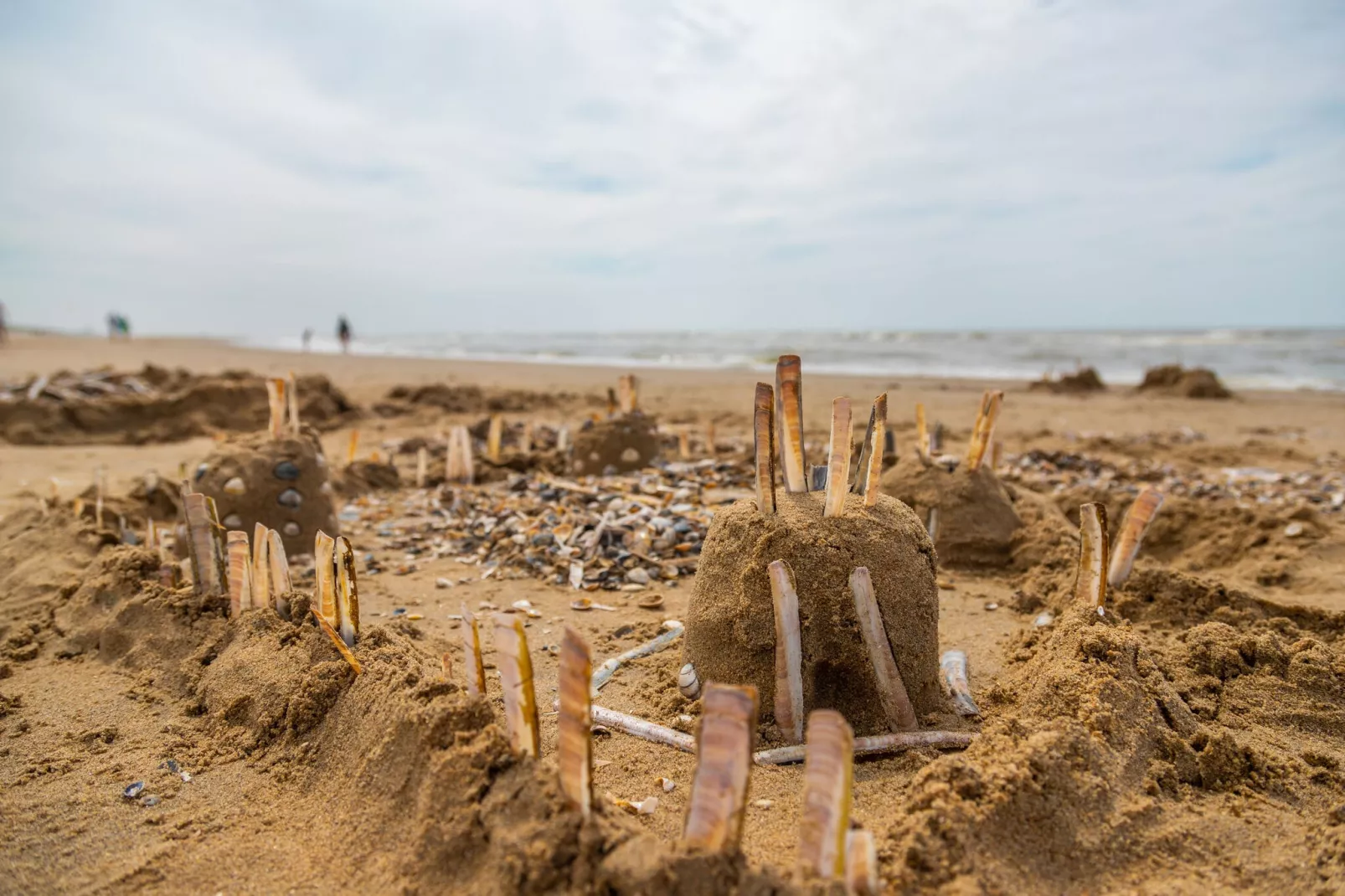 Noordwijkse Duinen 10-Ambiente
