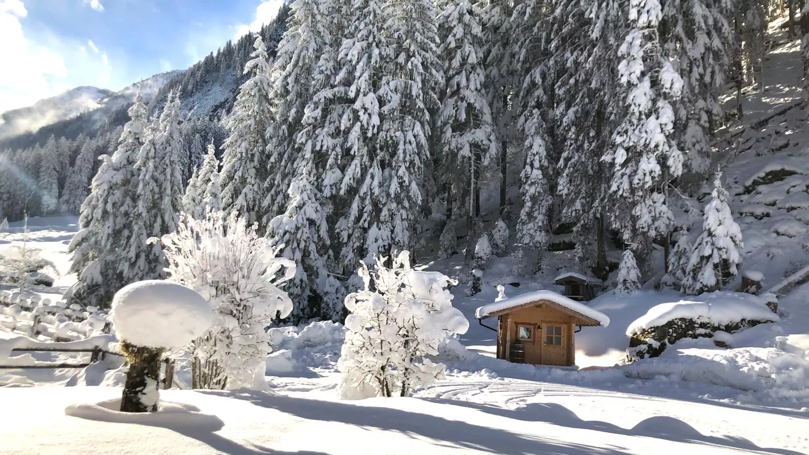 Alpenhaus Lacknerbrunn-Garden winter