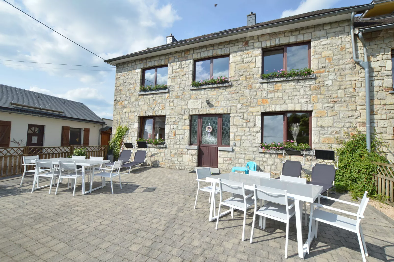Ecureuil-Exterior summer