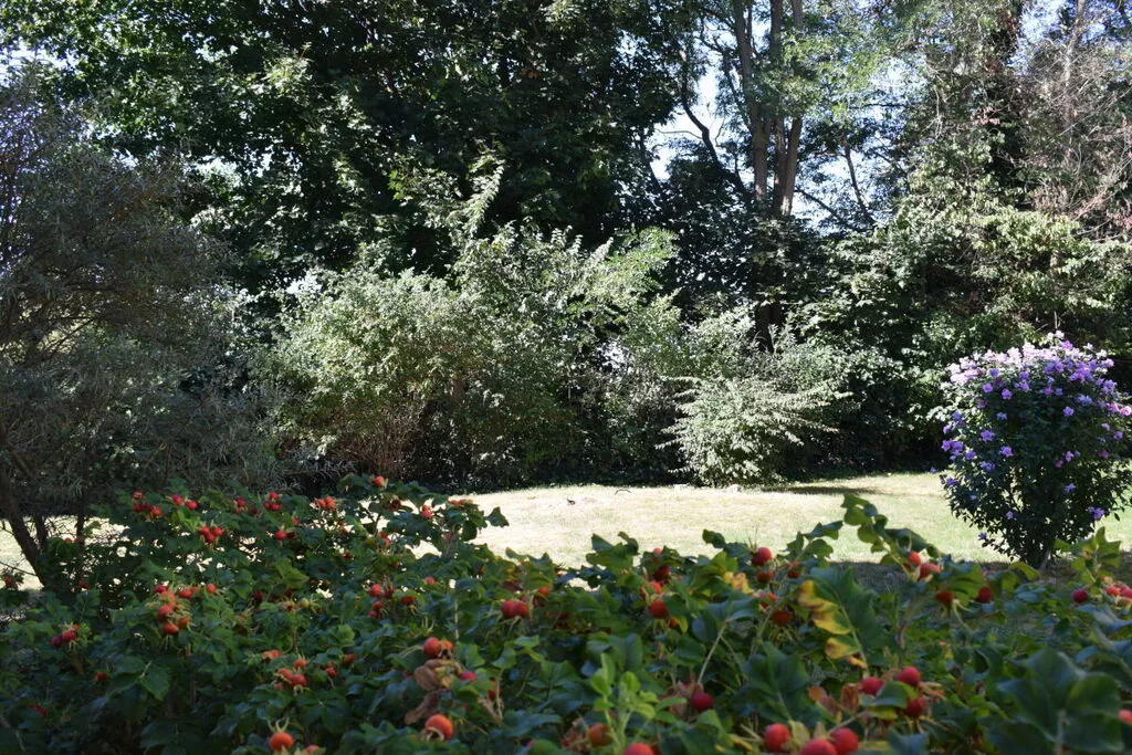 240648-View