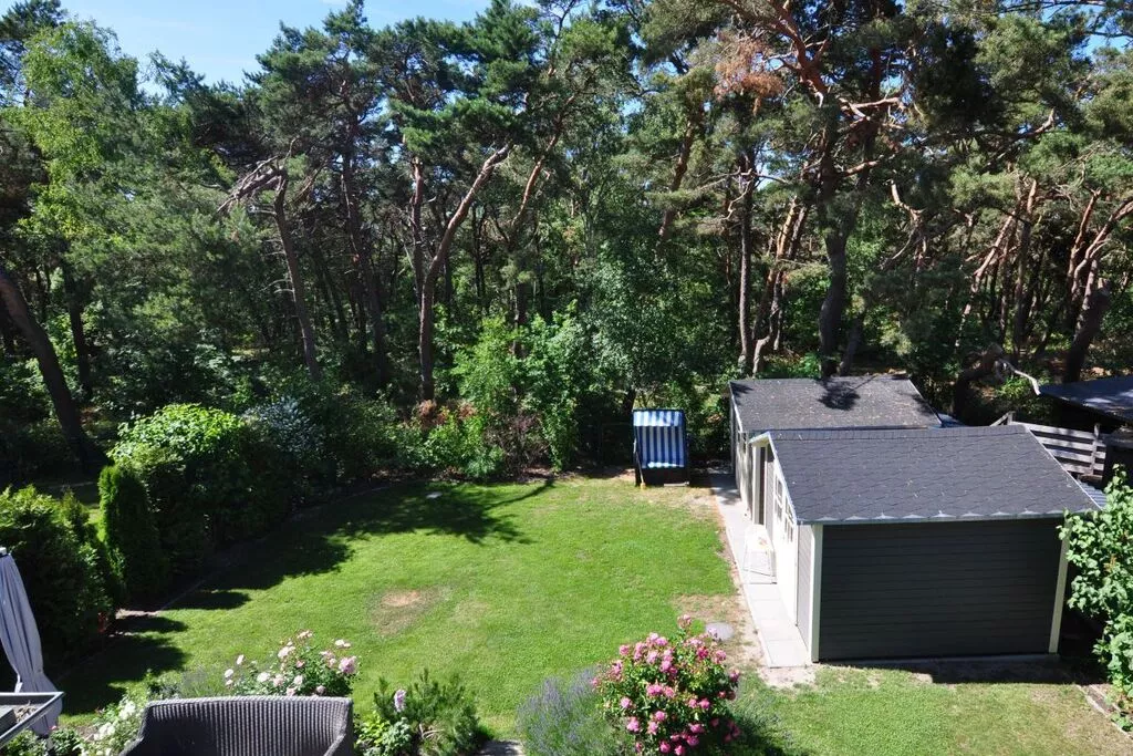 195853-View