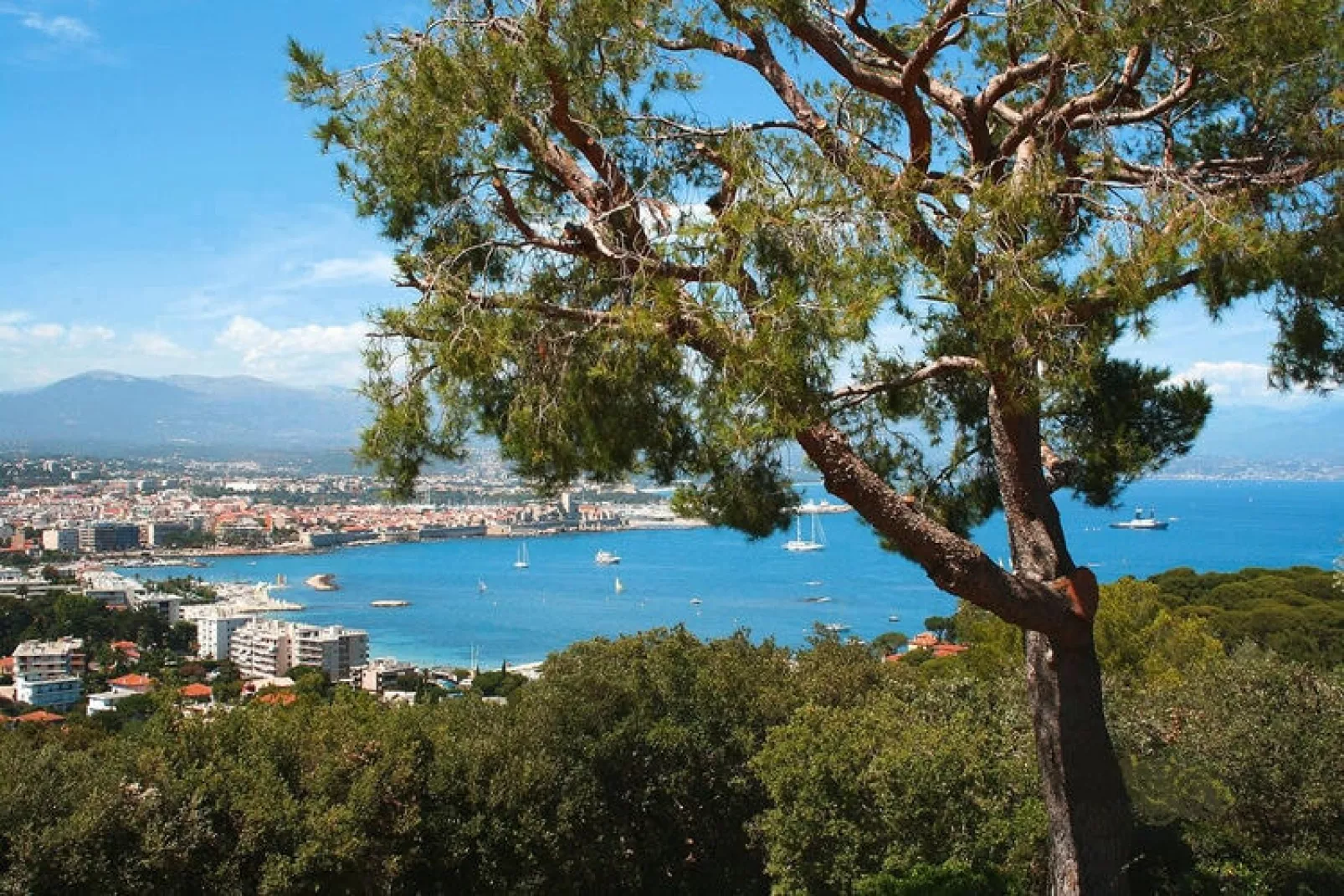 Residence Les Rives de Cannes Mandelieu Mandelieu-la-Napoule - 25 Standard - Apt 5 p - 1 bedroom-Gebiete Sommer 1 km