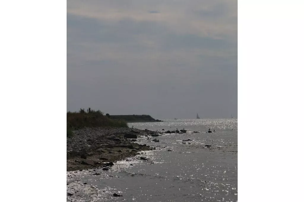 247136-View