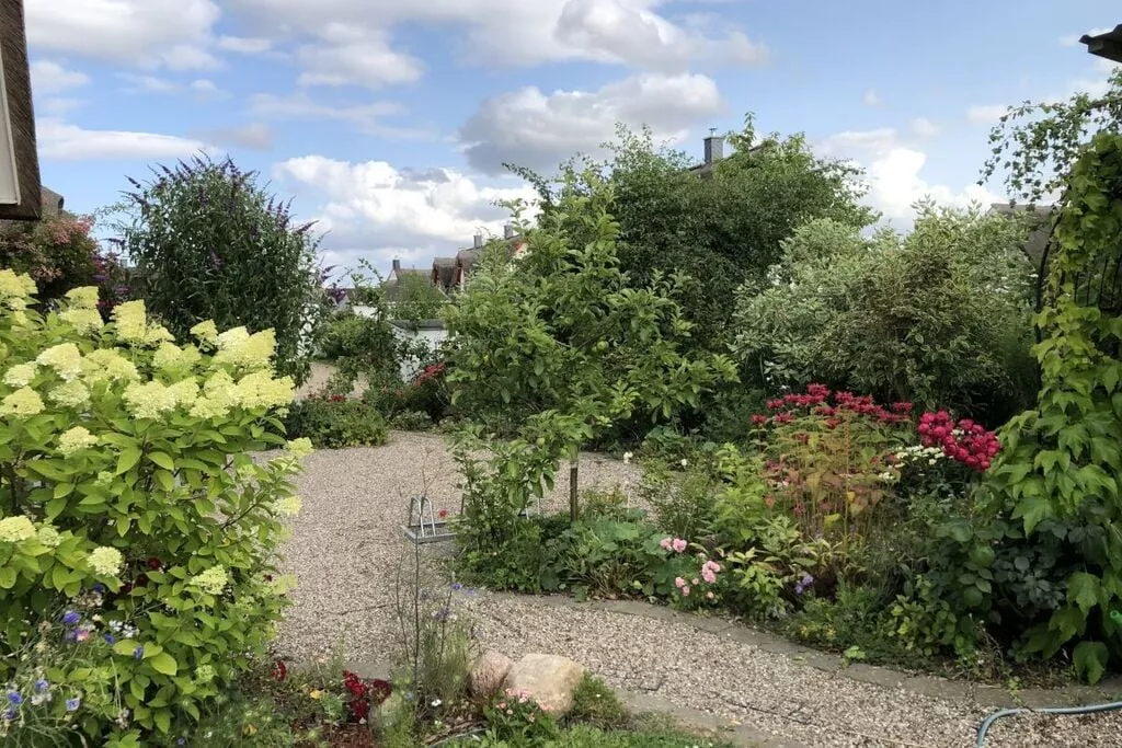 169932-Terrasse