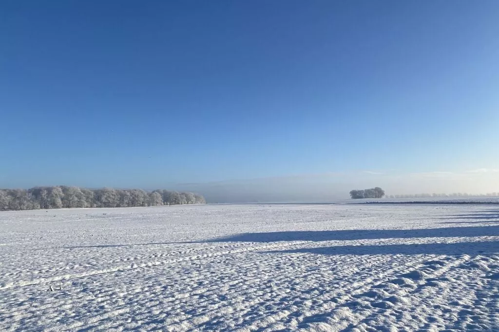 381534-View