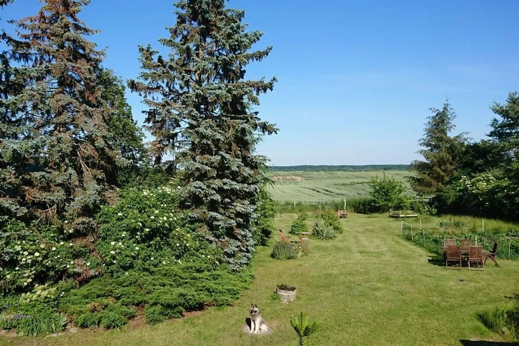 300253-View