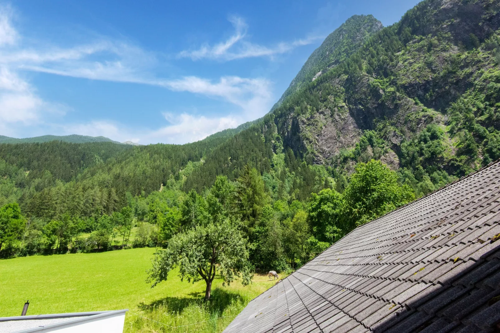Auer-View summer