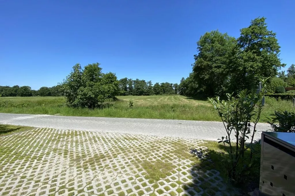 397392-View