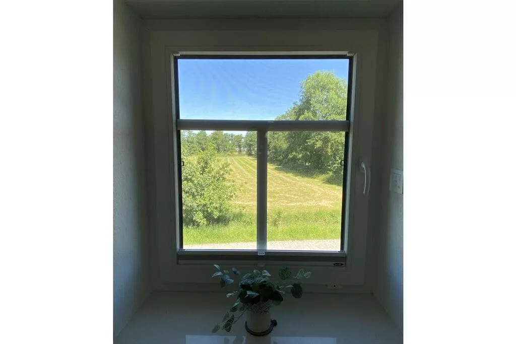 397392-View