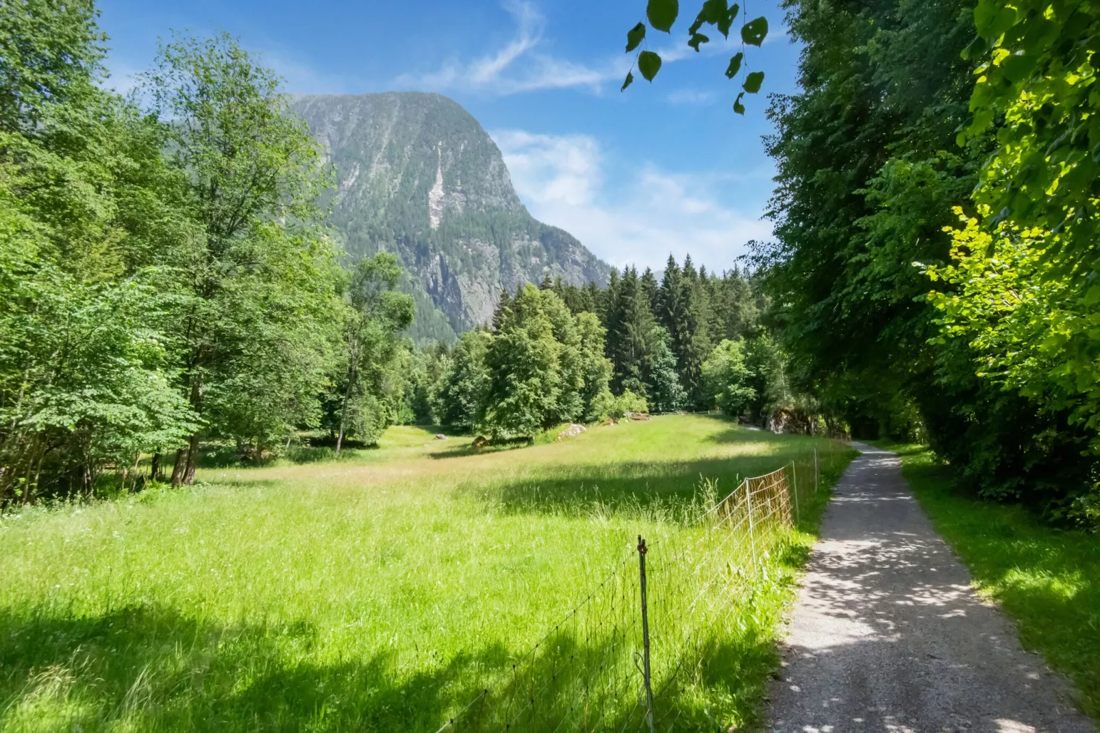 Auer-Areas summer 5km