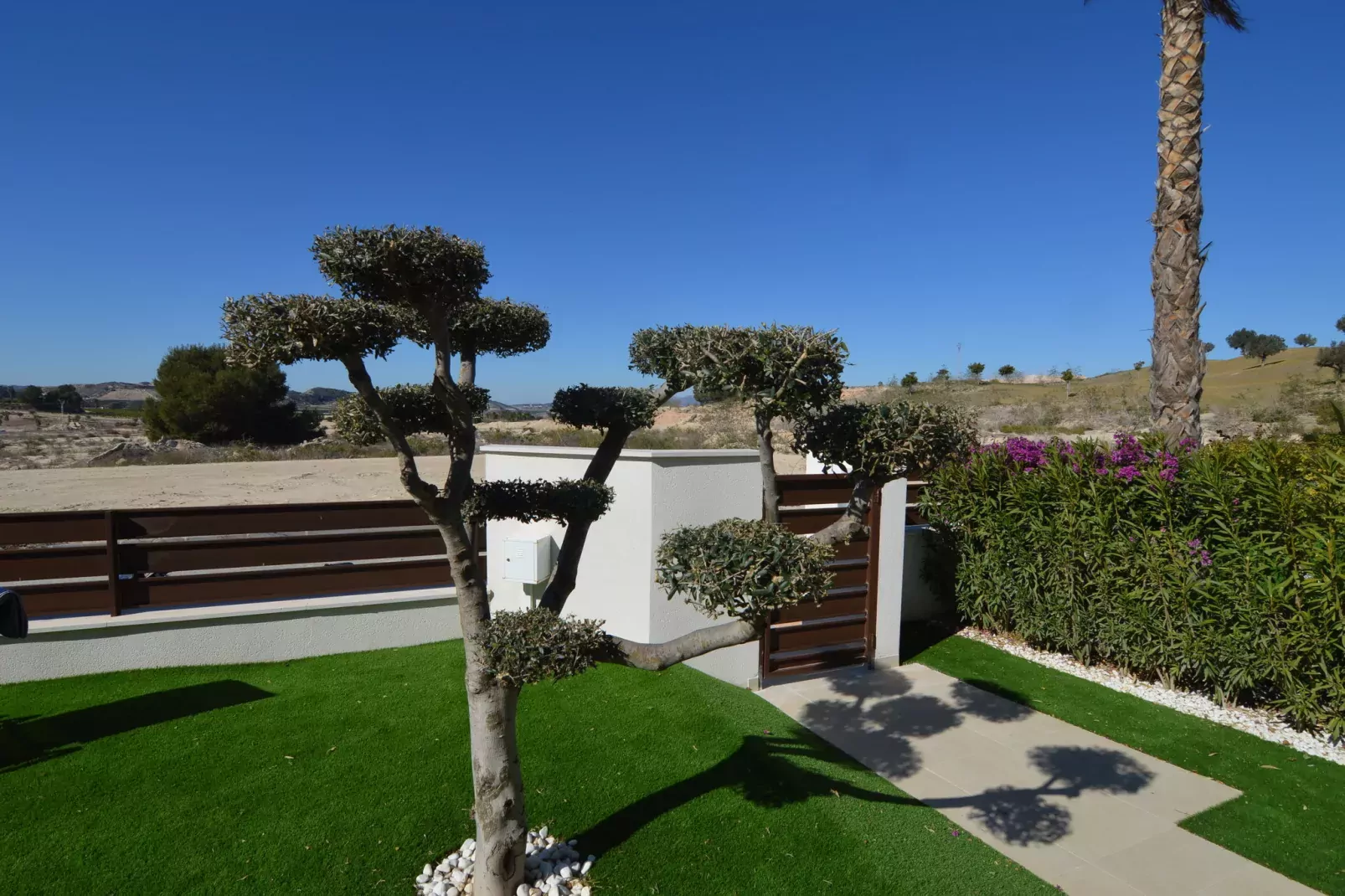 Casa Anacardo-Gardens summer