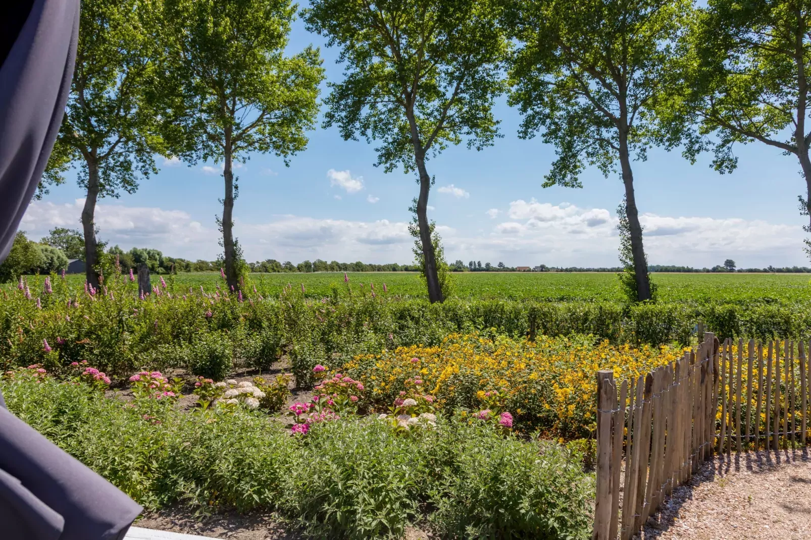 Lepelstraat 18A  Vrouwenpolder "'t Blauwtje"-Gardens summer