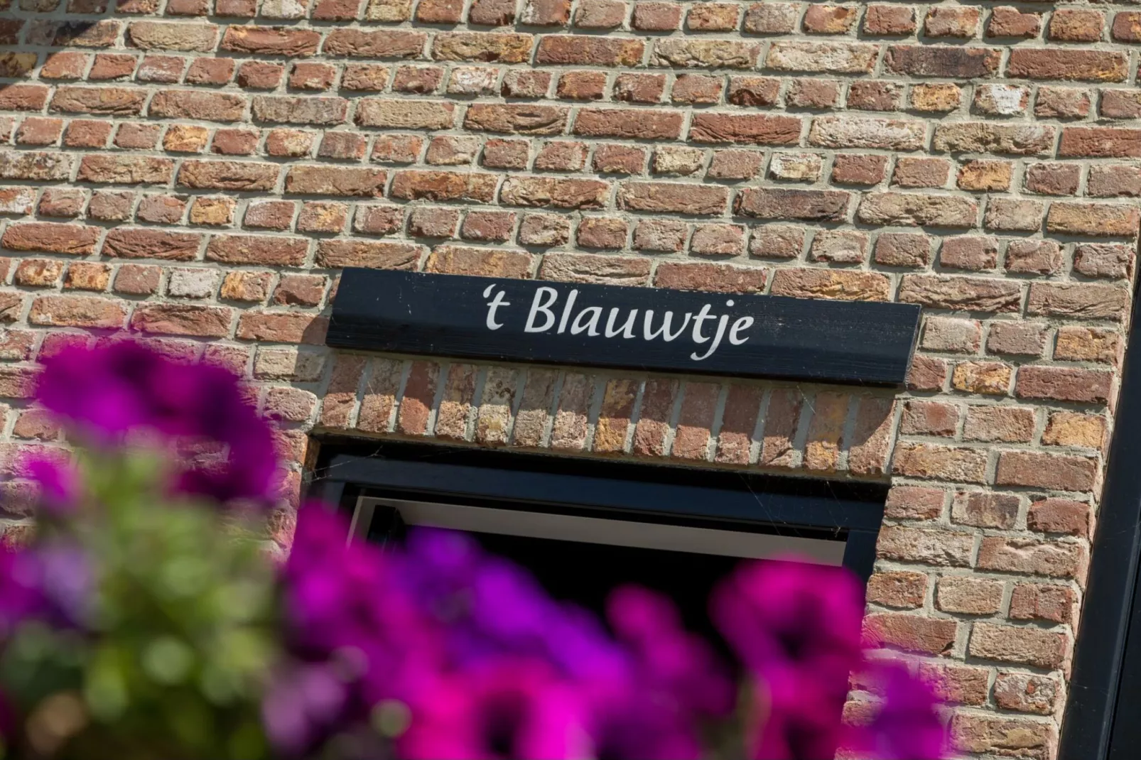 Lepelstraat 18A  Vrouwenpolder "'t Blauwtje"-Atmosphere