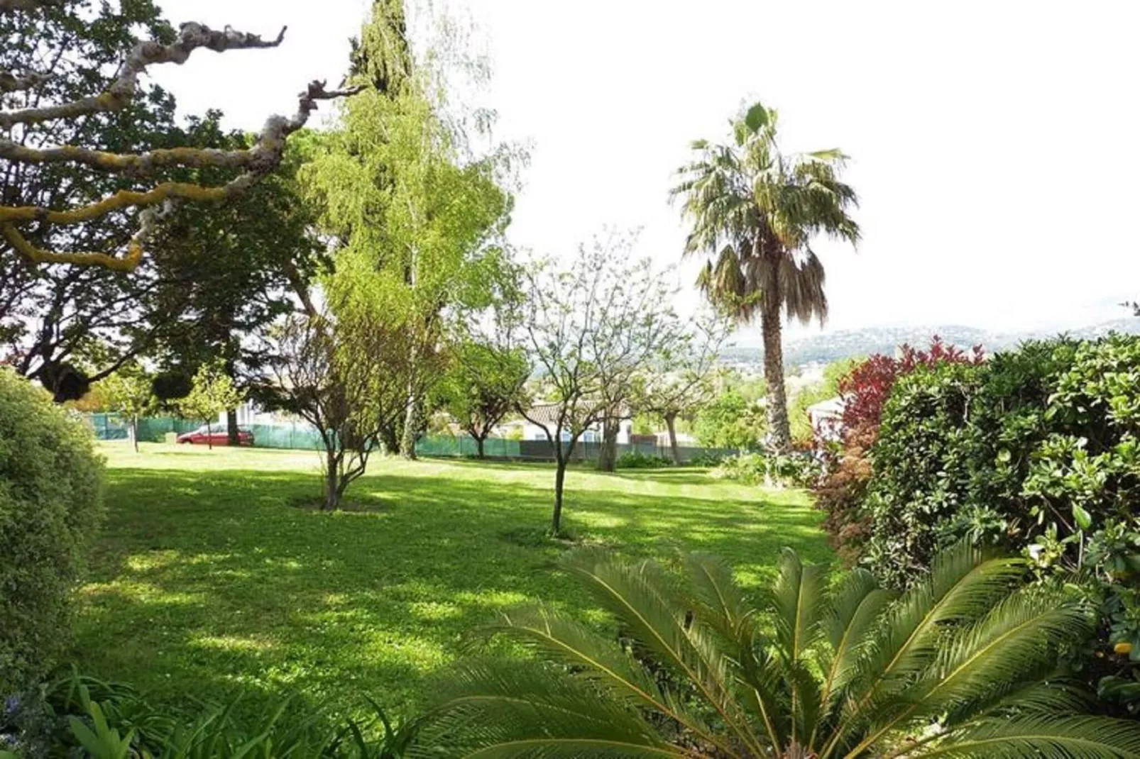 Ferienhaus in Cagnes-sur-Mer-Gardens summer