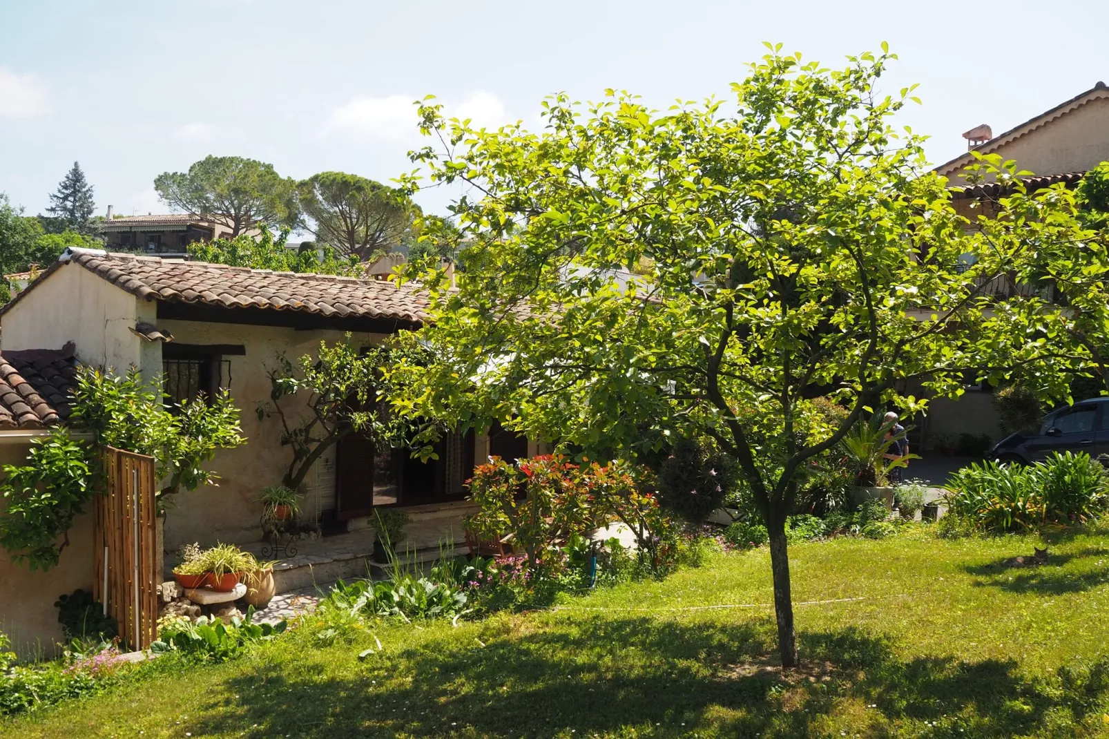 Ferienhaus in Cagnes-sur-Mer-Exterior summer