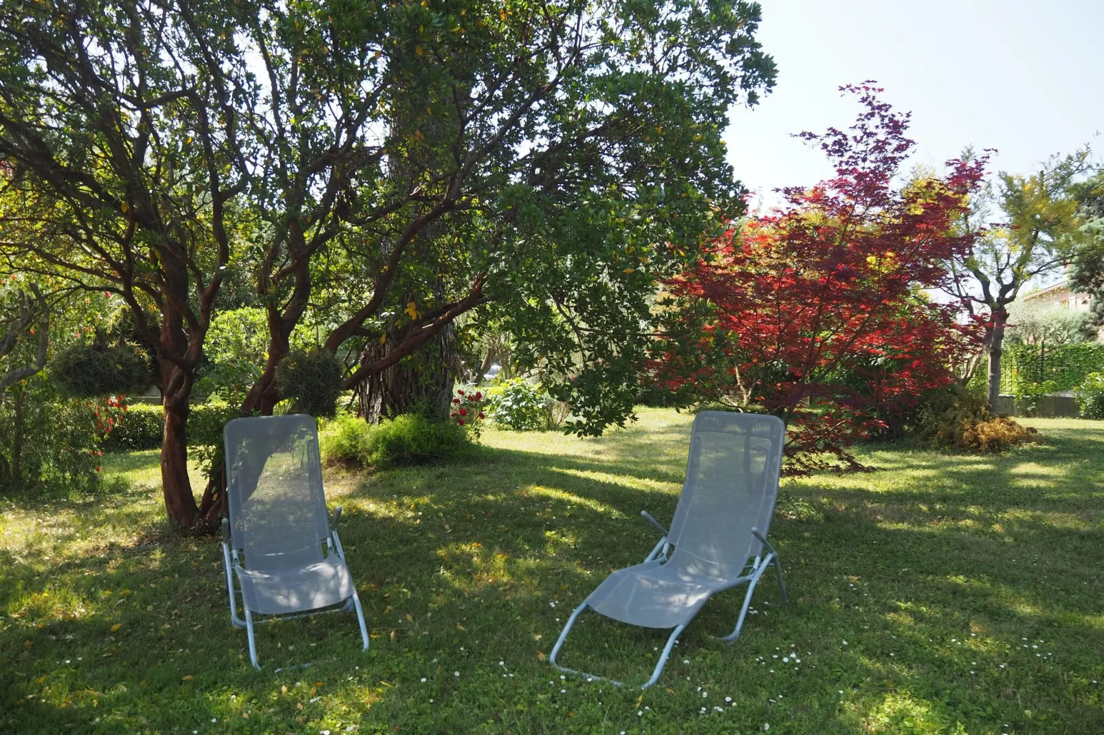 Ferienhaus in Cagnes-sur-Mer-Gardens summer