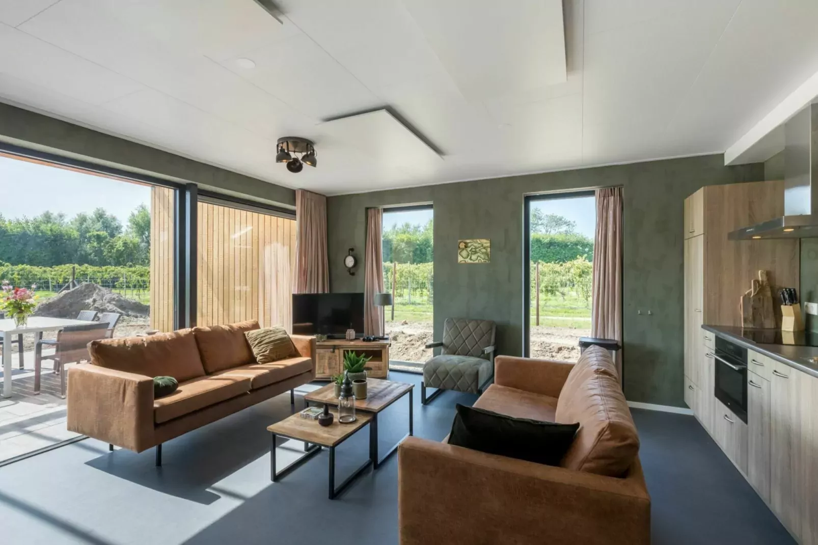 Vroondijk 2- duinappel en zonnebes-Living room