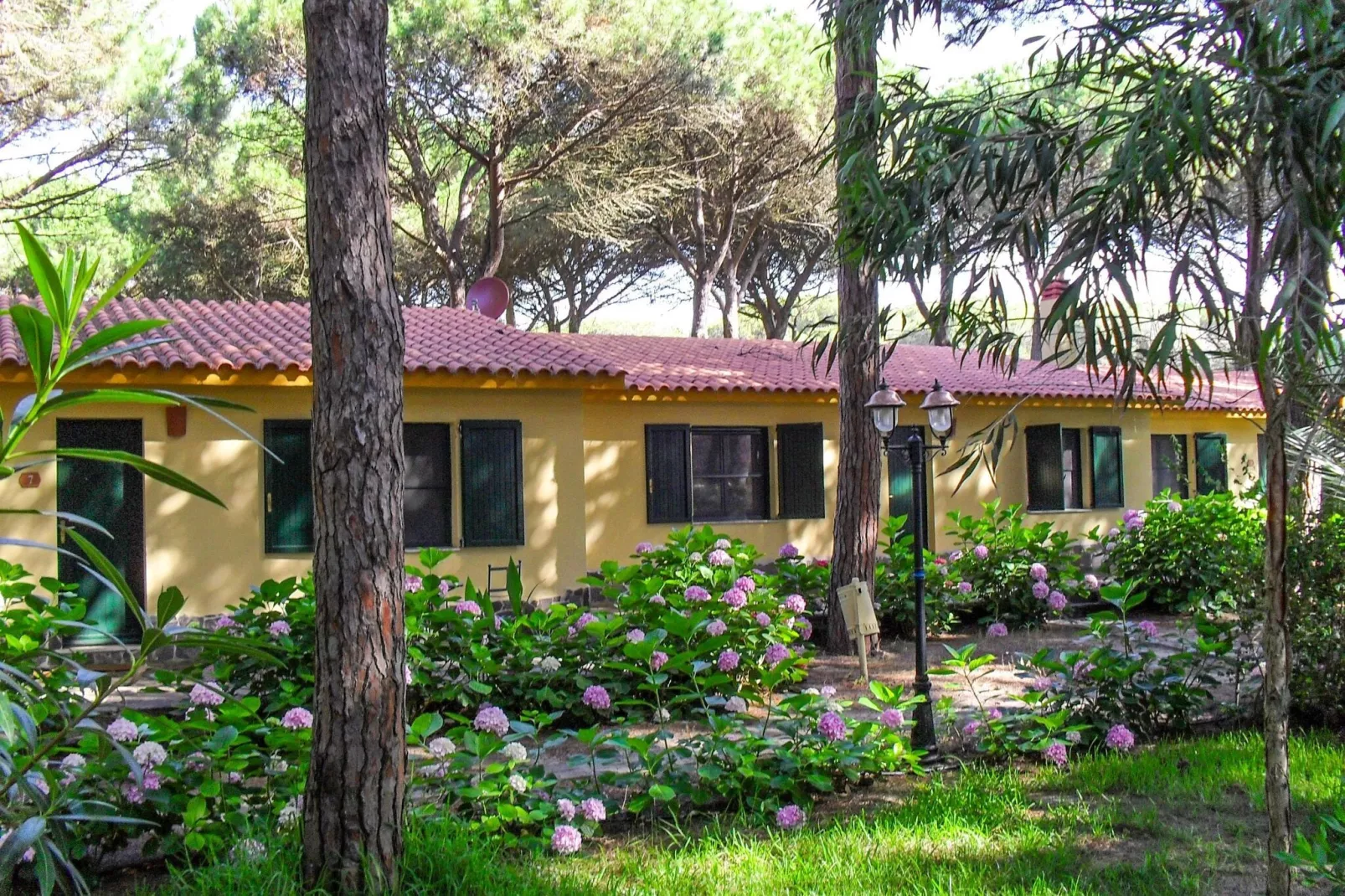 APT studio 1 camera-Exterior summer