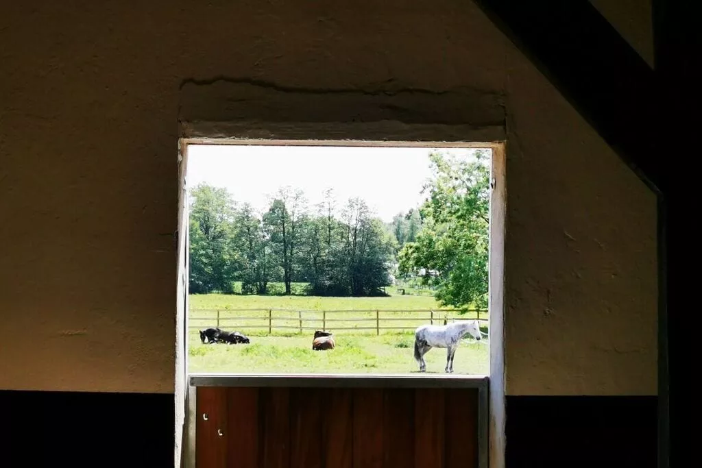 329114-View