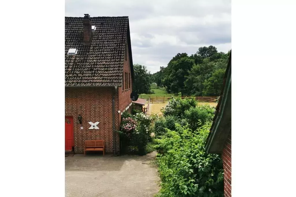 329114-View