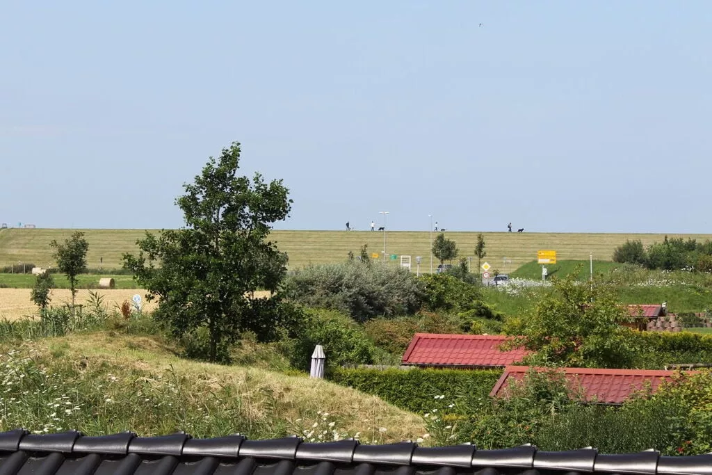 315305-View