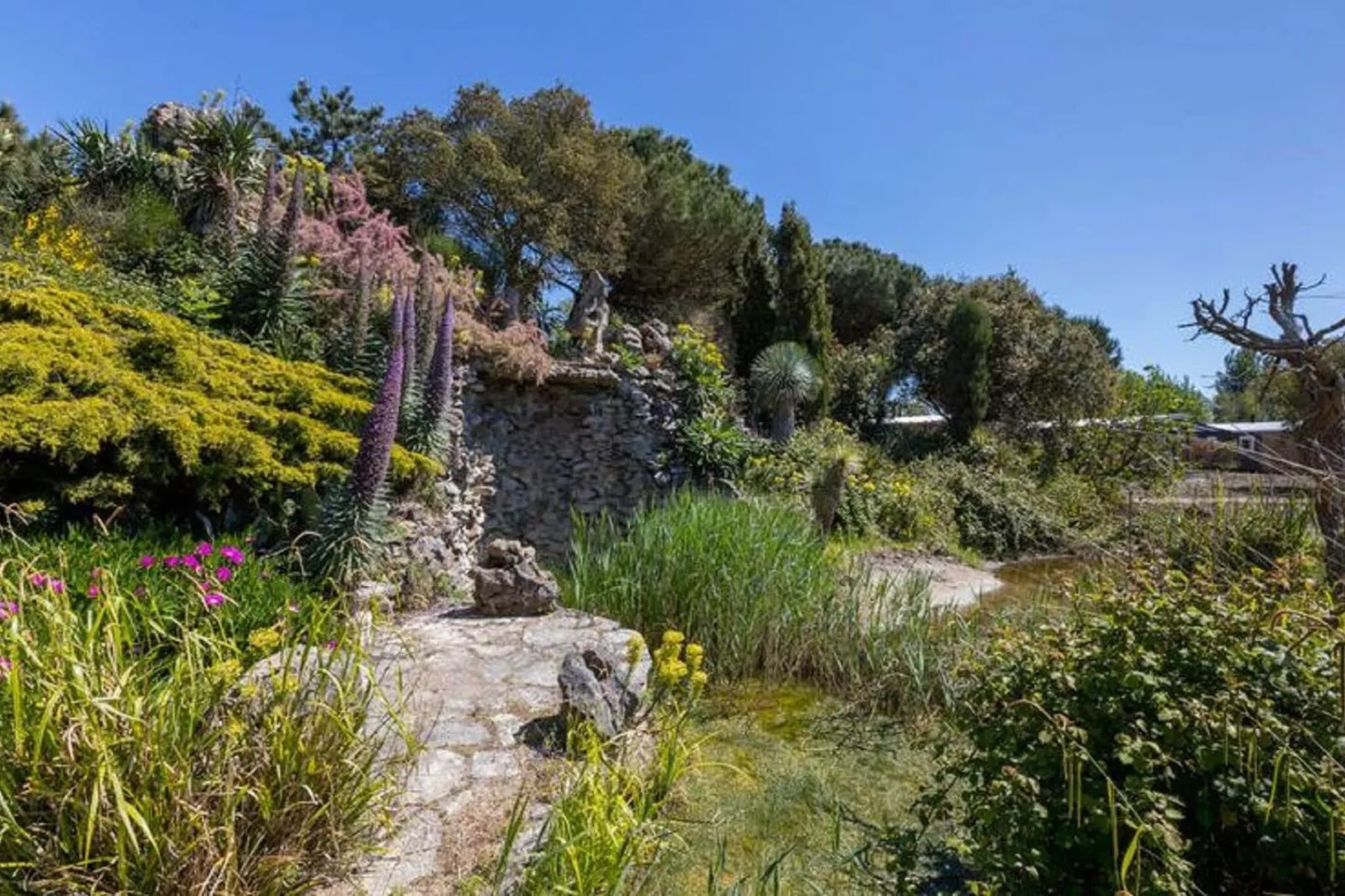 Fort den Haak - Chalet 1 tm 15  hond-Areas summer 1km
