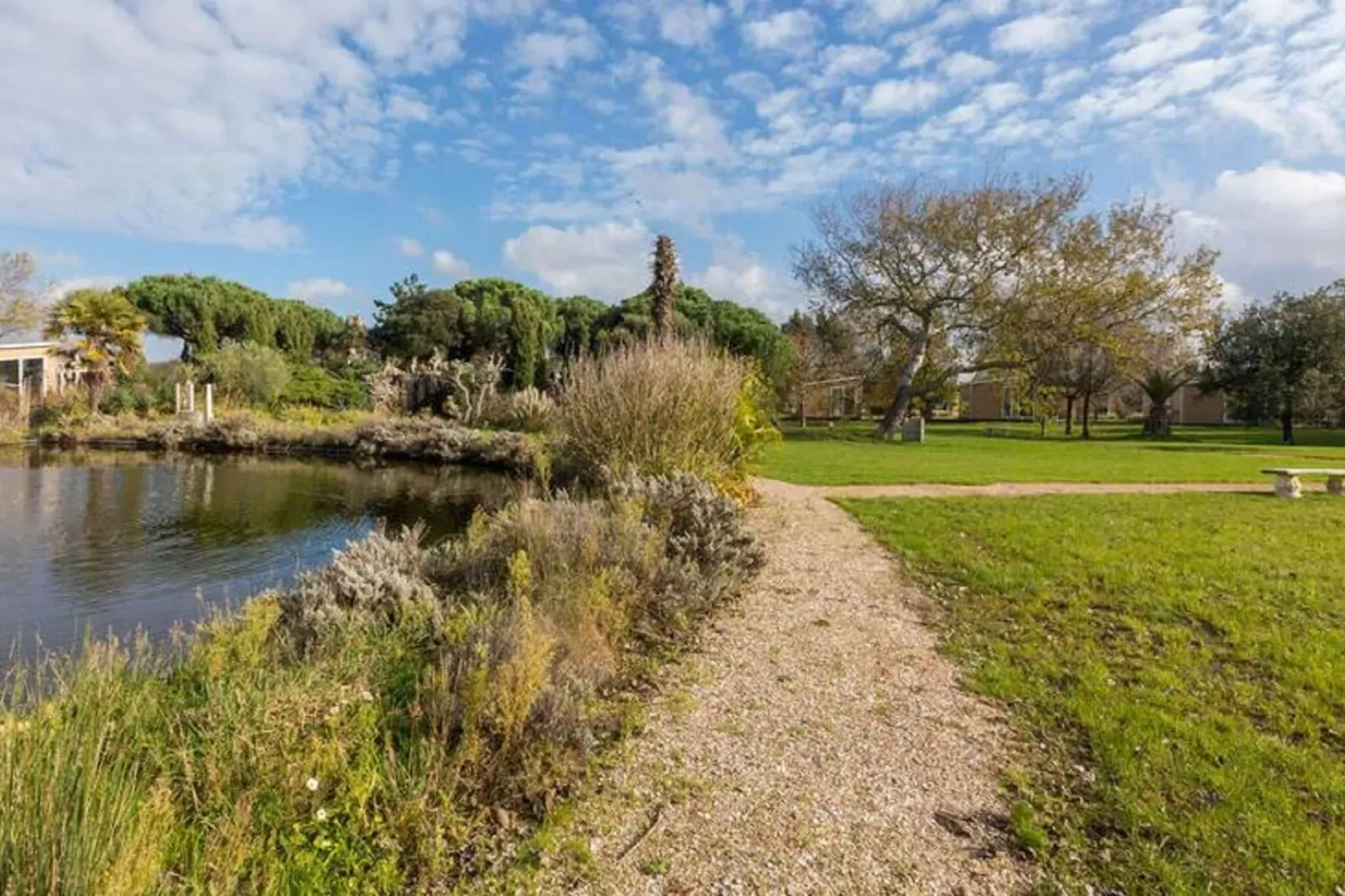 Fort den Haak - Chalet 1 tm 15  hond-Areas summer 1km