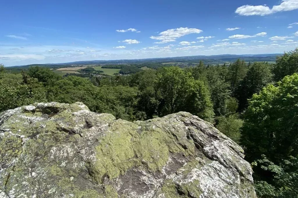 298879-View