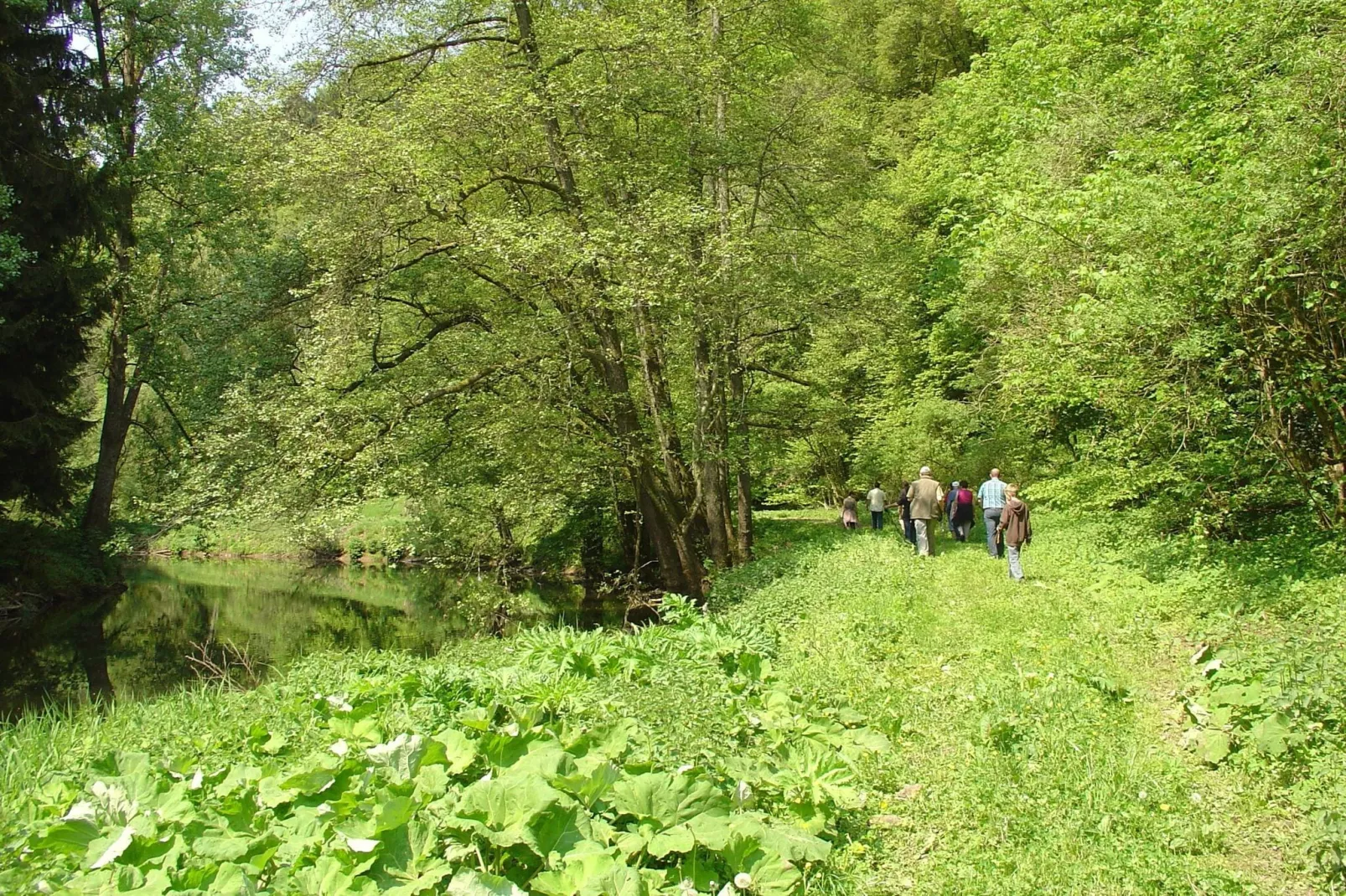 Ferienhaus Auszeit - Für Naturgenuss und Erholung-Zones d'été à 1 km