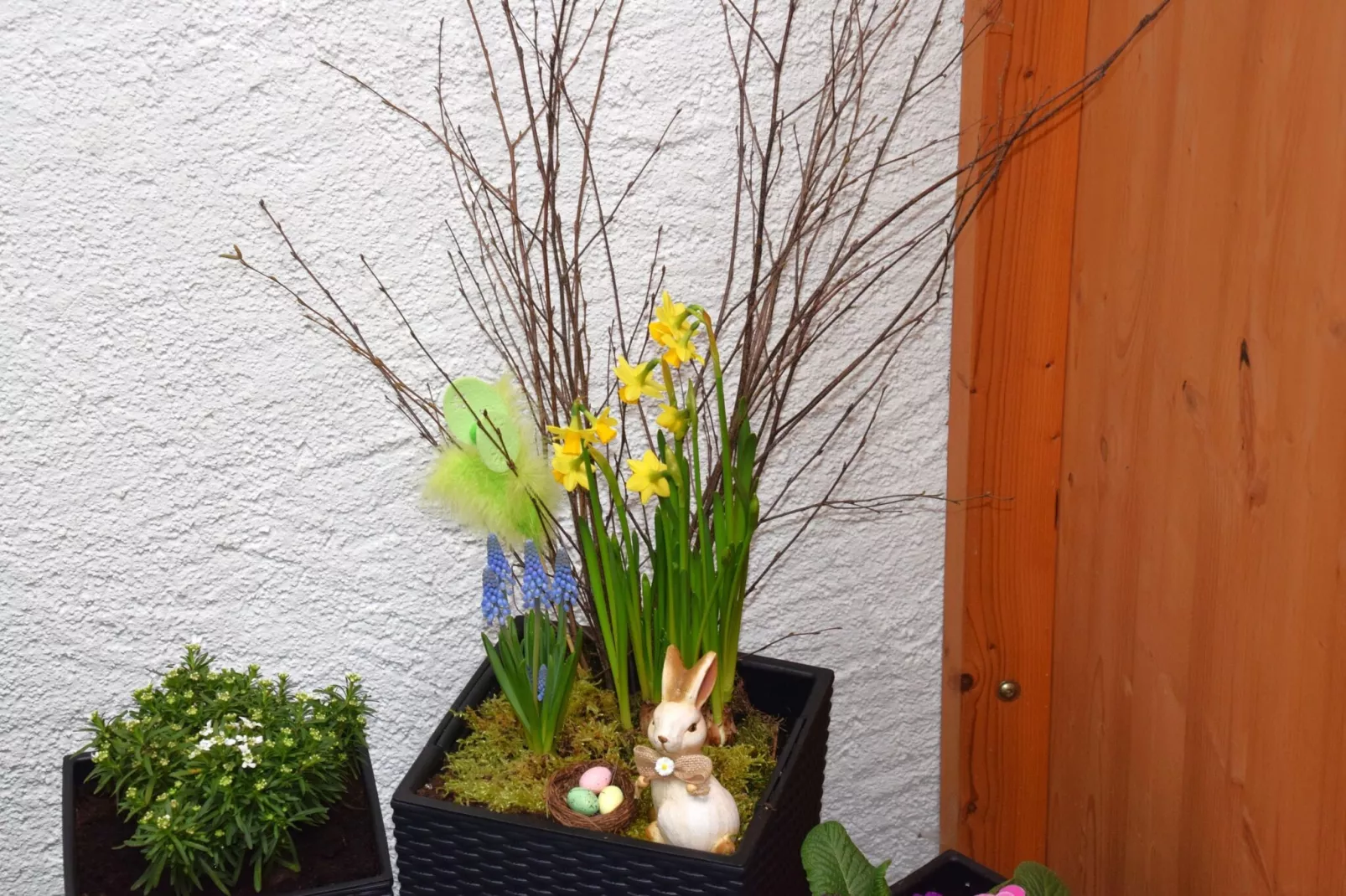Ferienhaus Auszeit - Für Naturgenuss und Erholung-Ambiance